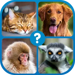 Guess the Word : Word Puzzle бесплатно на Андроид — мод: Открыты все уровни и подсказки