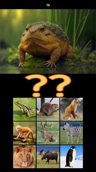 Hybrid Animals Crazy Lab Quiz — Открыты все гибриды и подсказки, скачать мод APK — скриншот 4 Hybrid Animals Crazy Lab Quiz — Открыты все гибриды и подсказки, скачать мод APK — скриншот 4