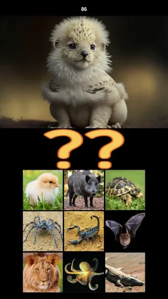 Hybrid Animals Crazy Lab Quiz — Открыты все гибриды и подсказки, скачать мод APK — скриншот 5 Hybrid Animals Crazy Lab Quiz — Открыты все гибриды и подсказки, скачать мод APK — скриншот 5