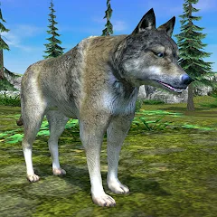 Wolf Simulator - Animal Games MOD APK: Безлимитные деньги и здоровье