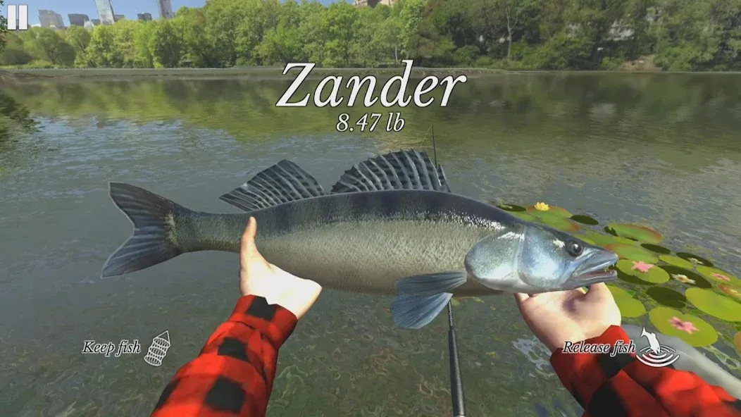 Скачать Ultimate Fishing Simulator мод — Много денег и разблокированы снасти — скриншот 2 Скачать Ultimate Fishing Simulator мод — Много денег и разблокированы снасти — скриншот 2