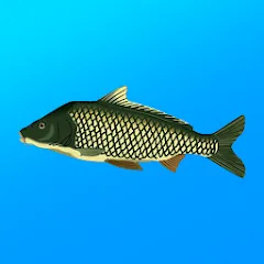 True Fishing. Simulator на телефон — скачать мод: Безлимитные деньги и ресурсов