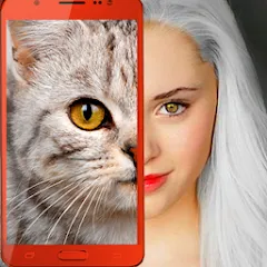 Скачать Kitten: what cat are you? joke на Андроид с модом — Результаты теста без ограничений
