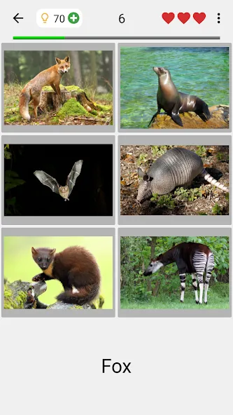 Animals Quiz Learn All Mammals взлом на Андроид — Все млекопитающие разблокированы — скриншот 2 Animals Quiz Learn All Mammals взлом на Андроид — Все млекопитающие разблокированы — скриншот 2