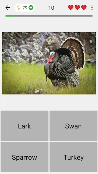 Animals Quiz Learn All Mammals взлом на Андроид — Все млекопитающие разблокированы — скриншот 4 Animals Quiz Learn All Mammals взлом на Андроид — Все млекопитающие разблокированы — скриншот 4