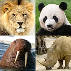 Animals Quiz Learn All Mammals взлом на Андроид — Все млекопитающие разблокированы