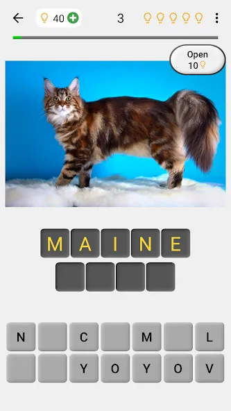Cats Quiz Guess Popular Breeds взломанный APK — Открыты все породы и подсказки — скриншот 1