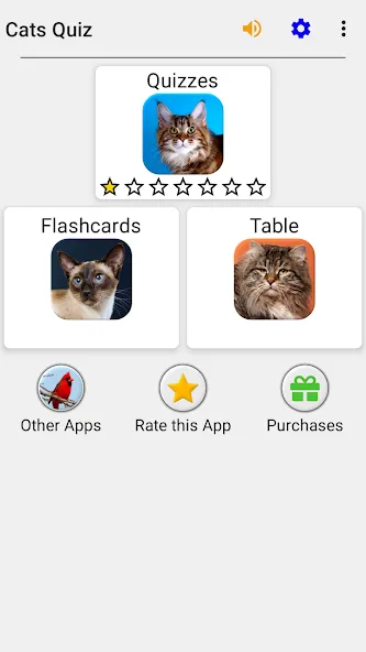 Cats Quiz Guess Popular Breeds взломанный APK — Открыты все породы и подсказки — скриншот 3