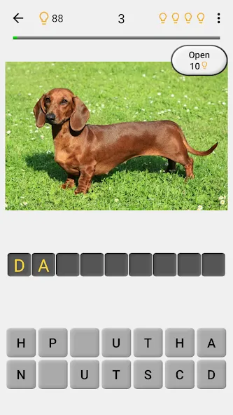 Скачать Dogs Quiz - Guess All Breeds! на Андроид с модом — Все породы собак разблокированы — скриншот 2