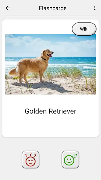 Скачать Dogs Quiz - Guess All Breeds! на Андроид с модом — Все породы собак разблокированы — скриншот 5