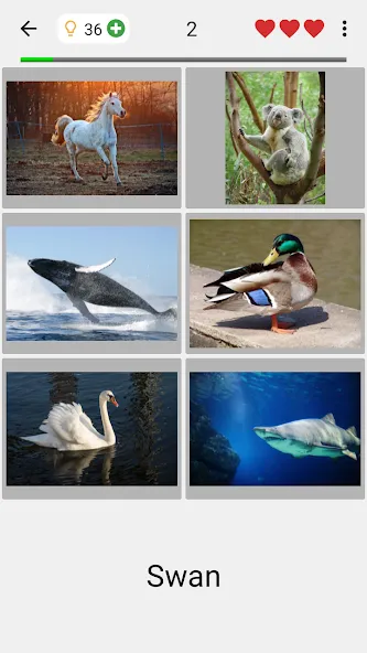 Guess Pictures and Words Quiz — скачать мод: Открыты все уровни и подсказки — скриншот 2 Guess Pictures and Words Quiz — скачать мод: Открыты все уровни и подсказки — скриншот 2