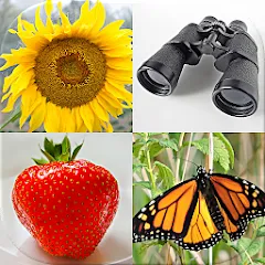 Guess Pictures and Words Quiz — скачать мод: Открыты все уровни и подсказки