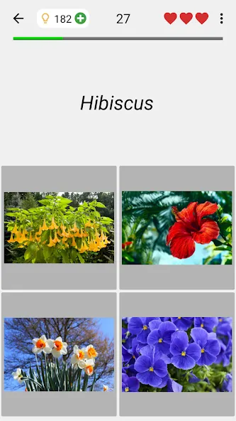 Скачать мод Flowers Quiz - Identify Plants — Все растения разблокированы — скриншот 4 Скачать мод Flowers Quiz - Identify Plants — Все растения разблокированы — скриншот 4