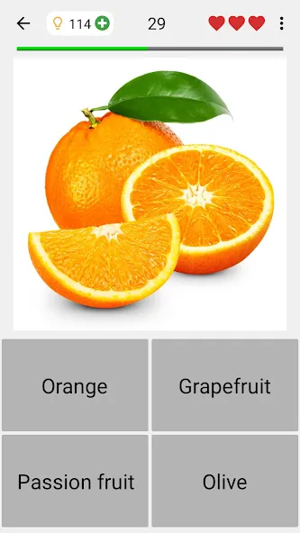 Fruit and Vegetables - Quiz — последняя версия с модом (Открыты все уровни и подсказки) — скриншот 4