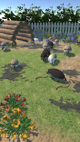 Hedgehog Friends — взломанная версия, Много монет и открыты все уровни — скриншот 2 Hedgehog Friends — взломанная версия, Много монет и открыты все уровни — скриншот 2