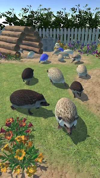 Hedgehog Friends — взломанная версия, Много монет и открыты все уровни — скриншот 3 Hedgehog Friends — взломанная версия, Много монет и открыты все уровни — скриншот 3