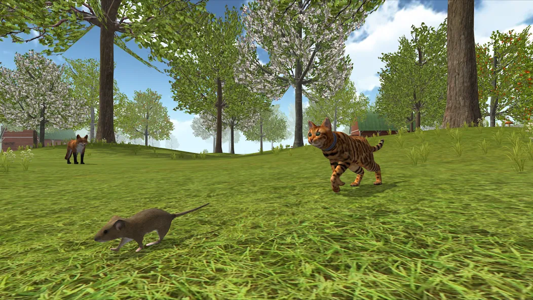 Cat Simulator : Kitties Family — взломанная версия, Много котят и безлимитные монеты — скриншот 4