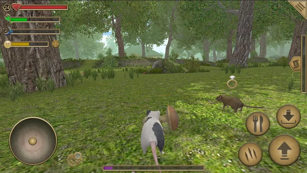 Mouse Simulator : Forest Home взломанный APK — Без рекламы и много ресурсов — скриншот 1 Mouse Simulator : Forest Home взломанный APK — Без рекламы и много ресурсов — скриншот 1