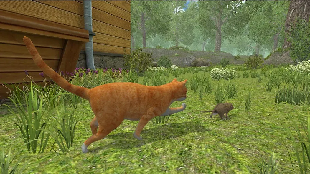 Mouse Simulator : Forest Home взломанный APK — Без рекламы и много ресурсов — скриншот 3 Mouse Simulator : Forest Home взломанный APK — Без рекламы и много ресурсов — скриншот 3