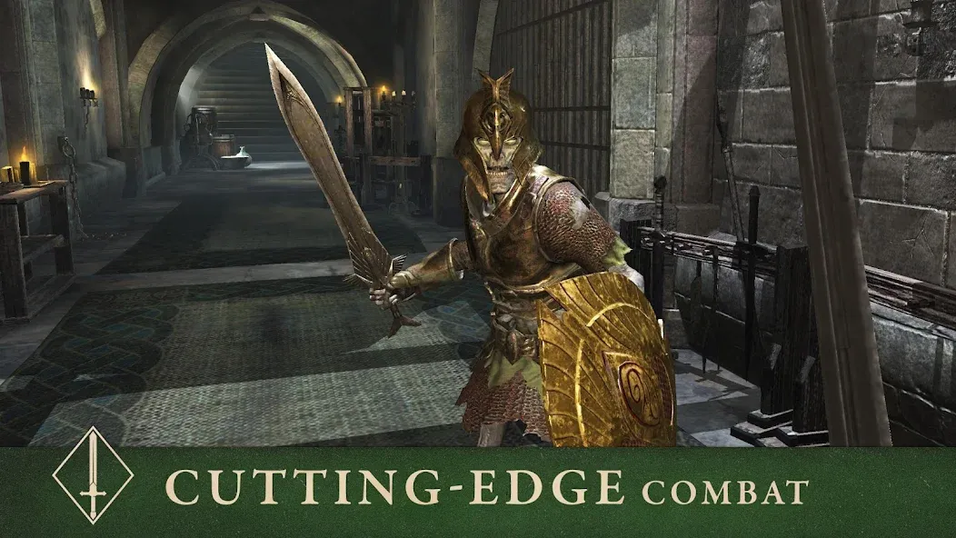 The Elder Scrolls: Blades взломанный APK — Безлимитные деньги и ресурсы — скриншот 5