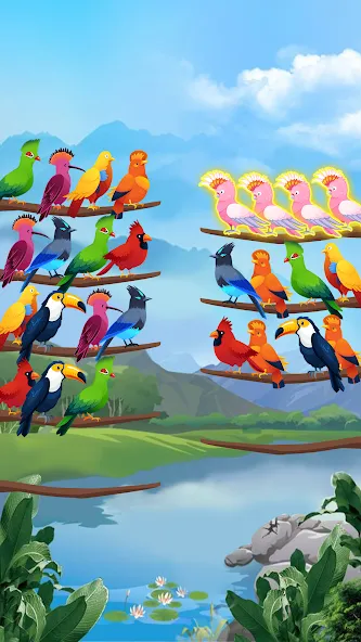Bird Sort - Color Puzzle взлом APK — Без рекламы и все уровни открыты — скриншот 3
