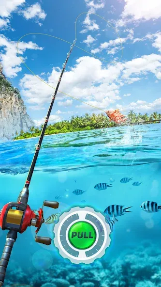 Скачать Fishing Rival 3D мод — Безлимитные деньги и энергия — скриншот 1 Скачать Fishing Rival 3D мод — Безлимитные деньги и энергия — скриншот 1