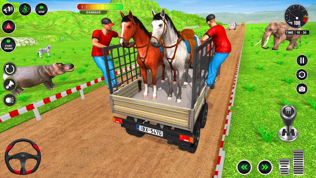 Animal Transport Truck Game 3D мод на Андроид: Безлимитные деньги и все животные открыты — скриншот 4 Animal Transport Truck Game 3D мод на Андроид: Безлимитные деньги и все животные открыты — скриншот 4