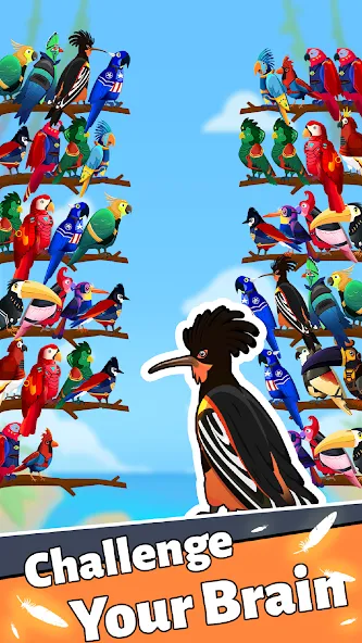 Bird Puzzle - Color Game взлом на Андроид — Без рекламы и все уровни открыты — скриншот 2 Bird Puzzle - Color Game взлом на Андроид — Без рекламы и все уровни открыты — скриншот 2