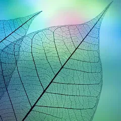 780 words MOD APK скачать на Андроид — Открыты все уровни и подсказки