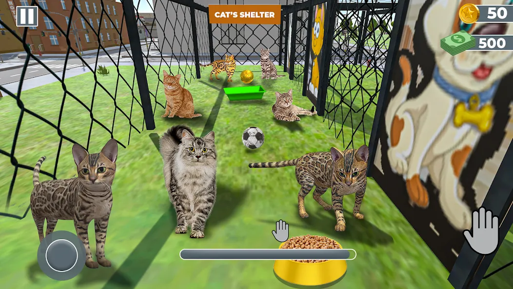 Animal Shelter: Pet Rescue 3D MOD APK скачать на Андроид — Безлимитные деньги и питомцы открыты — скриншот 2 Animal Shelter: Pet Rescue 3D MOD APK скачать на Андроид — Безлимитные деньги и питомцы открыты — скриншот 2