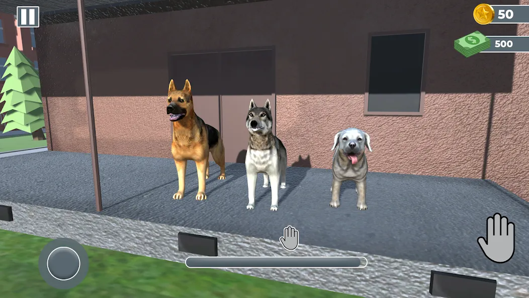 Animal Shelter: Pet Rescue 3D MOD APK скачать на Андроид — Безлимитные деньги и питомцы открыты — скриншот 3 Animal Shelter: Pet Rescue 3D MOD APK скачать на Андроид — Безлимитные деньги и питомцы открыты — скриншот 3