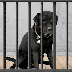 Animal Shelter: Pet Rescue 3D MOD APK скачать на Андроид — Безлимитные деньги и питомцы открыты