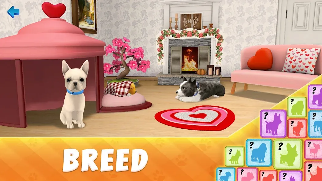 Скачать Dog Town: Puppy Pet Shop Games мод — Безлимитные деньги и питомцы — скриншот 5 Скачать Dog Town: Puppy Pet Shop Games мод — Безлимитные деньги и питомцы — скриншот 5