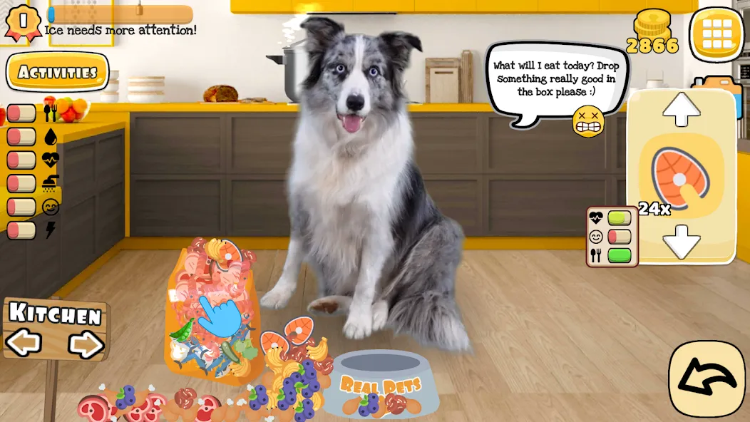 Adopt a pet : Corgi Games — последняя версия с модом (Безлимитные монеты и питомцы) — скриншот 1