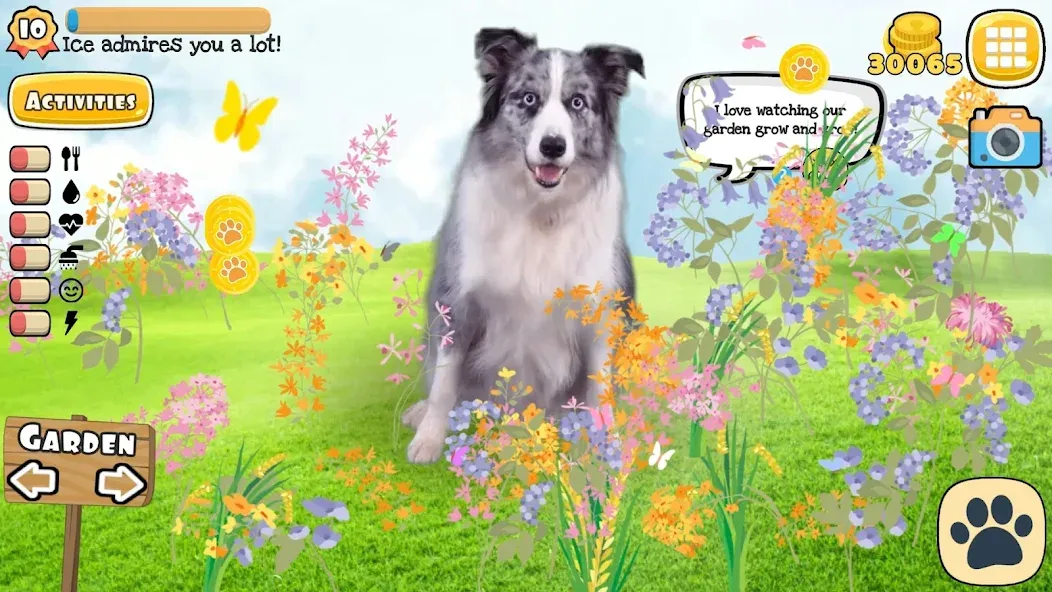 Adopt a pet : Corgi Games — последняя версия с модом (Безлимитные монеты и питомцы) — скриншот 4