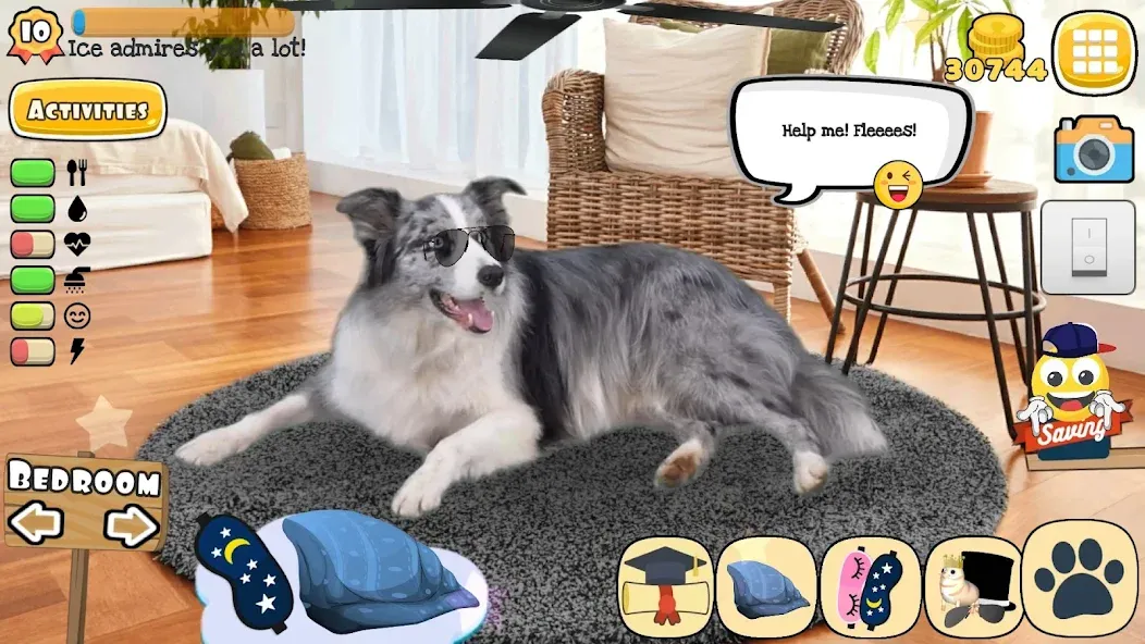 Adopt a pet : Corgi Games — последняя версия с модом (Безлимитные монеты и питомцы) — скриншот 5