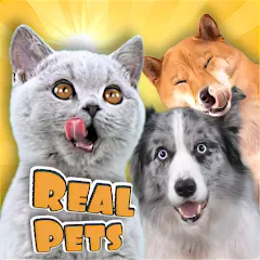 Adopt a pet : Corgi Games — последняя версия с модом (Безлимитные монеты и питомцы)