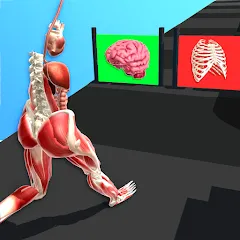 Human Run — скачать мод: Безлимитные деньги и ускоренный бег