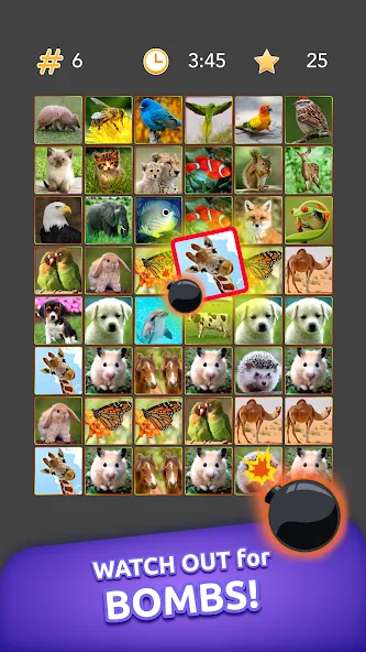 Onnect - Pair Matching Puzzle — скачать мод: Подсказки доступны без ограничений — скриншот 5 Onnect - Pair Matching Puzzle — скачать мод: Подсказки доступны без ограничений — скриншот 5