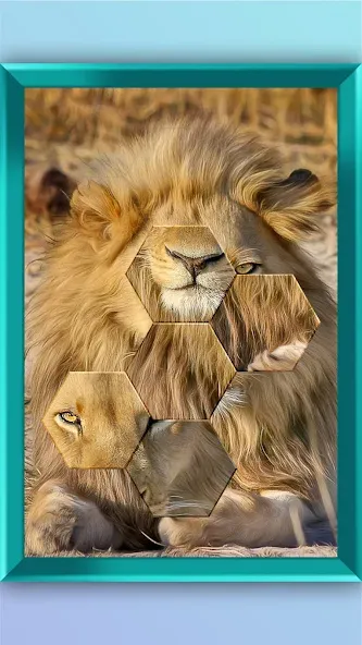 Jigsaw Puzzle - Jigsort Master — Безлимитные подсказки и открыты все уровни, скачать мод APK — скриншот 2 Jigsaw Puzzle - Jigsort Master — Безлимитные подсказки и открыты все уровни, скачать мод APK — скриншот 2