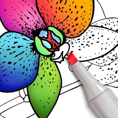 Скачать Coloring for adults offline мод — Все раскраски разблокированы офлайн