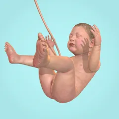 Idle 9 Months на телефон — скачать мод: Безлимитные деньги и ускоренная беременность