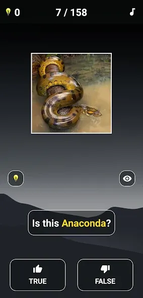 Animal Quiz: Guess the Animal взломанный APK — Все животные разблокированы и подсказки бесконечны — скриншот 3