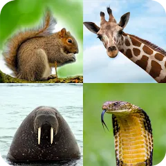 Animal Quiz: Guess the Animal взломанный APK — Все животные разблокированы и подсказки бесконечны