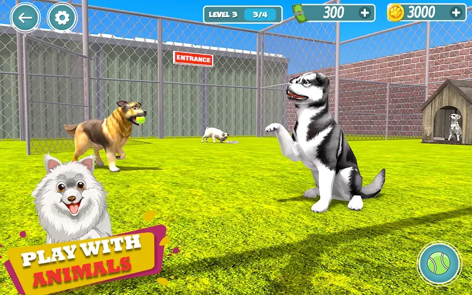 My Pet Animal Shelter World взлом на Андроид — Безлимитные монеты и все питомцы открыты — скриншот 5 My Pet Animal Shelter World взлом на Андроид — Безлимитные монеты и все питомцы открыты — скриншот 5