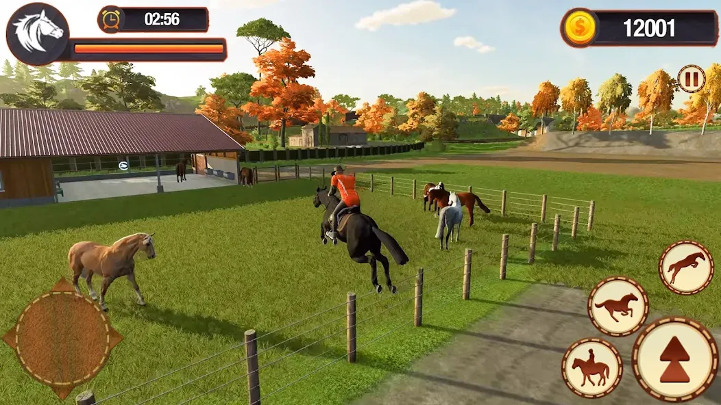 My Horse Herd Care Simulator взлом на Андроид — Бесконечные монеты и всё открыто — скриншот 3