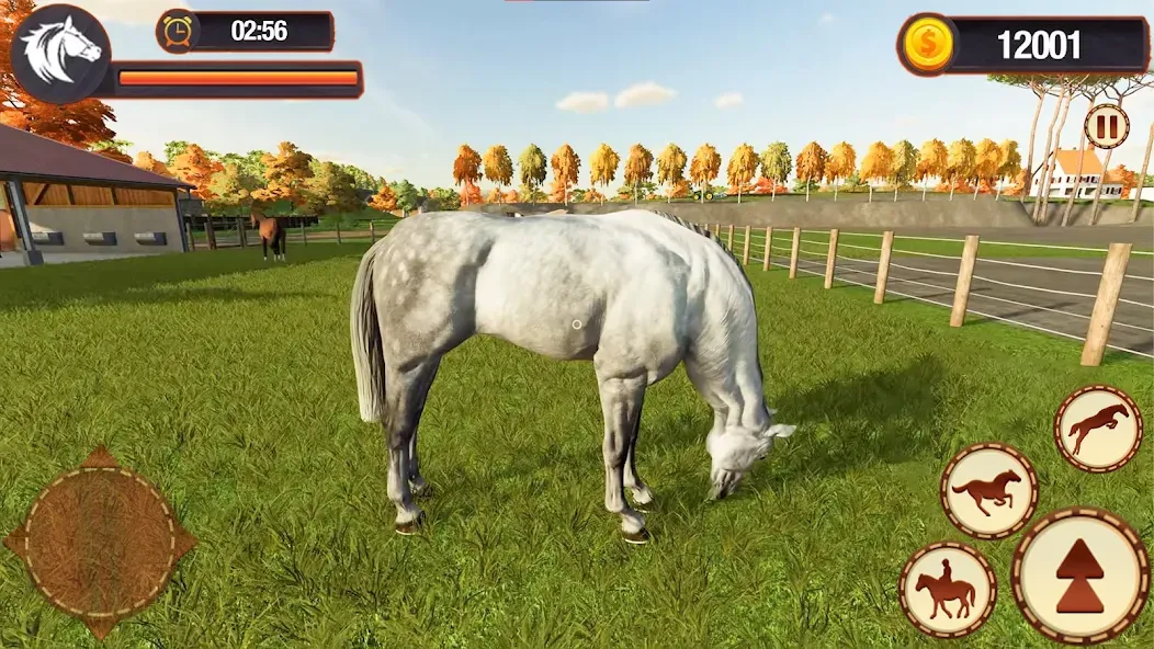 My Horse Herd Care Simulator взлом на Андроид — Бесконечные монеты и всё открыто — скриншот 5