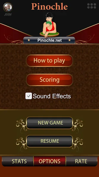 Pinochle.Net — последняя версия с модом (Разблокированы все функции и карты) — скриншот 2