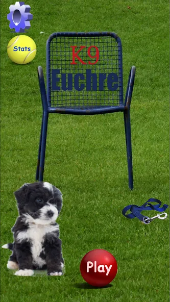 Скачать K9 Euchre Mod APK — Безлимитные подсказки и быстрый прогресс — скриншот 1