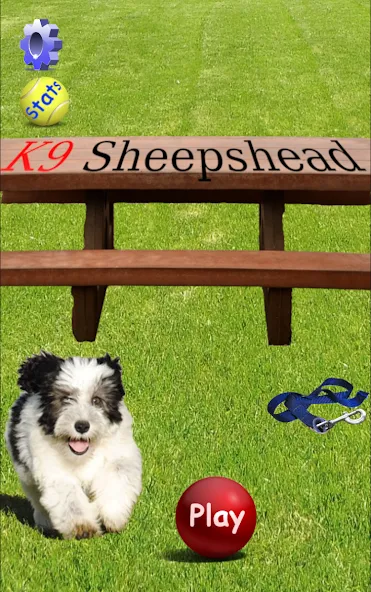 K9 Sheepshead (Schafkopf] мод на Андроид: Разблокированы все функции и уровни — скриншот 1